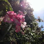 Ξενοδοχείο Maree 3*