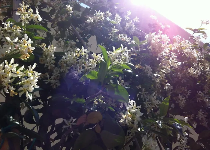 Ξενοδοχείο Maree 3*