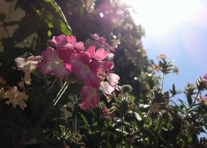 Ξενοδοχείο Maree 3*