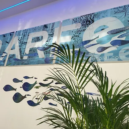 Maree 체제나티코