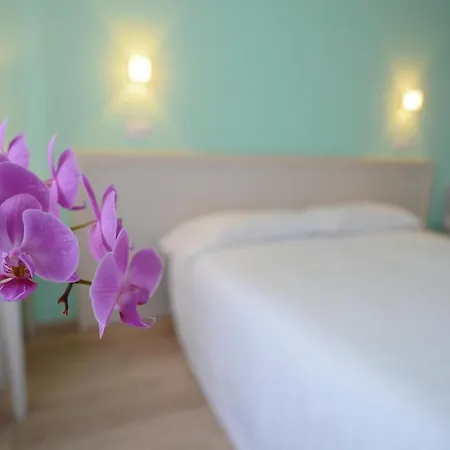 Maree Hotel 3*